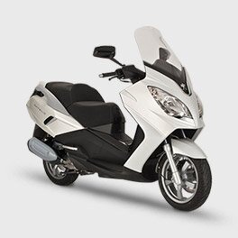Satelis 300